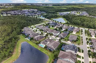 4282 Amped Wy, Land O Lakes, FL 34638 - Photo 87