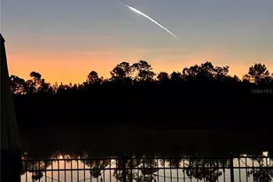4282 Amped Wy, Land O Lakes, FL 34638 - Photo 95