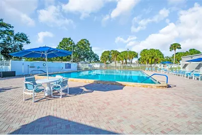 163 Dolphin Drive E, Oldsmar, FL 34677 - Photo 57