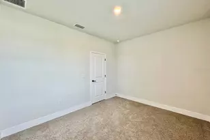11393 Hardwood Hammock Ln, Riverview, FL 33569 - Photo 47