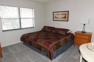 218 Woodlake Wynde, Oldsmar, FL 34677 - Photo 21
