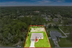 11277 Fool Duck Ave, Weeki Wachee, FL 34613 - Photo 3