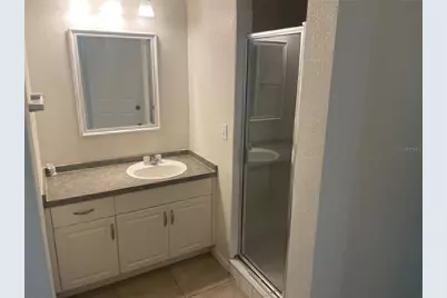 6233 Ashbury Palms Drive, Tampa, FL 33647 - Photo 3