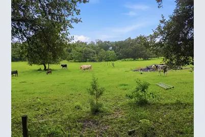 9299 Weatherly Road, Brooksville, FL 34601 - Photo 3