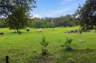 9299 Weatherly Rd, Brooksville, FL 34601 - Photo 3