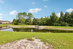 11705 Castine St, New Port Richey, FL 34654 - Photo 35