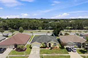 29609 Eagle Station Dr, Wesley Chapel, FL 33543 - Photo 61