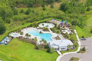 33731 Hamilton Hl Ln, Wesley Chapel, FL 33545 - Photo 47