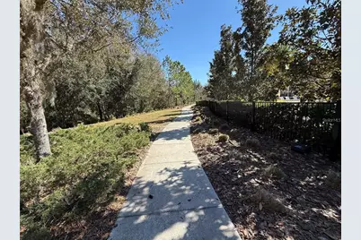 4599 Almada Lane, Wesley Chapel, FL 33543 - Photo 43