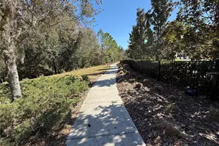 4599 Almada Ln, Wesley Chapel, FL 33543 - Photo 43