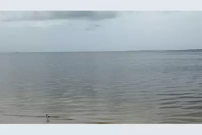 Tallahassee Drive, Tarpon Springs, FL 34689 - Photo 15