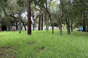 Tallahassee Dr, Tarpon Springs, FL 34689 - Photo 1