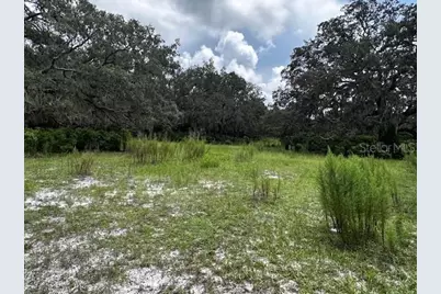 12321 Eden Avenue, Hudson, FL 34667 - Photo 21