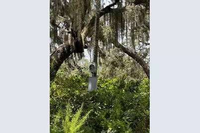 12321 Eden Avenue, Hudson, FL 34667 - Photo 13