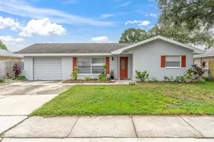 707 Lemonwood Dr, Oldsmar, FL 34677 - Photo 1