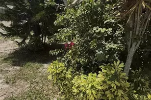 2346 Druid St, Clearwater, FL 33764 - Photo 19