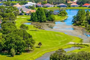 9250 Mississippi Run, Weeki Wachee, FL 34613 - Photo 79
