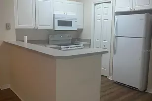18107 Peregrines Perch Pl, Lutz, FL 33558 - Photo 3