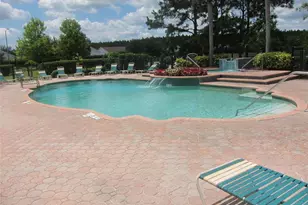 18107 Peregrines Perch Pl, Lutz, FL 33558 - Photo 15