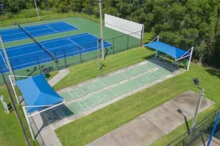 1248 Starry Night St, Wesley Chapel, FL 33543 - Photo 41
