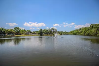 123 Loblolly Court #A, Oldsmar, FL 34677 - Photo 39