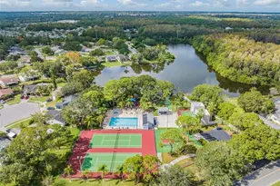 123 Loblolly Ct, Oldsmar, FL 34677 - Photo 45
