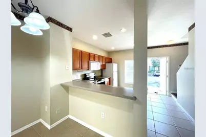 8508 Brushleaf Way, Tampa, FL 33647 - Photo 5