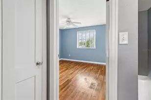 601 Swann Dr, Tampa, FL 33609 - Photo 15
