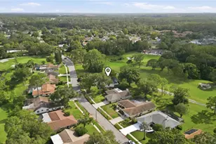 3506 Fairway Forest Dr, Palm Harbor, FL 34685 - Photo 29