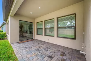 18308 Leafmore St, Lutz, FL 33548 - Photo 9