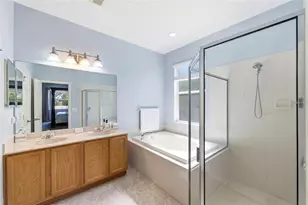 6823 Green Heron Dr, Wesley Chapel, FL 33545 - Photo 23