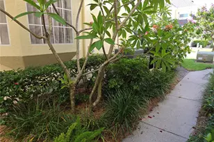 98 S Highland Ave, Tarpon Springs, FL 34689 - Photo 51