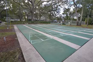 3379 Fox Hunt Dr, Palm Harbor, FL 34683 - Photo 43