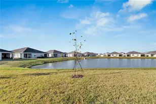 3329 Shady Sunrise Loop, Plant City, FL 33565 - Photo 49