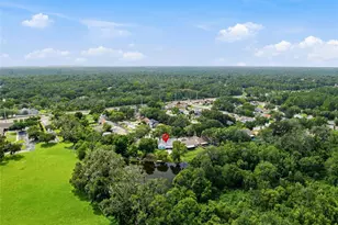 4637 Cabbage Palm Dr, Valrico, FL 33596 - Photo 35