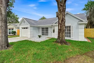 4637 Cabbage Palm Dr, Valrico, FL 33596 - Photo 3