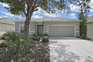 11908 Fern Blossom Dr, Gibsonton, FL 33534 - Photo 1