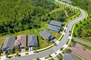 10314 Banyan Breeze Blvd, Land O Lakes, FL 34638 - Photo 25