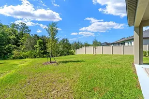 10314 Banyan Breeze Blvd, Land O Lakes, FL 34638 - Photo 23