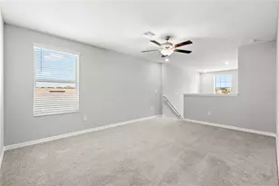 10217 Summer Kiss Ave, Riverview, FL 33578 - Photo 15