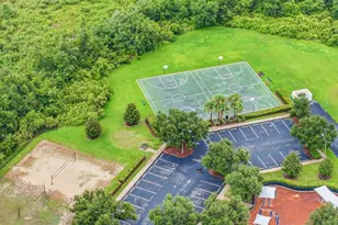 31321 Driscoll Dr, Wesley Chapel, FL 33543 - Photo 47