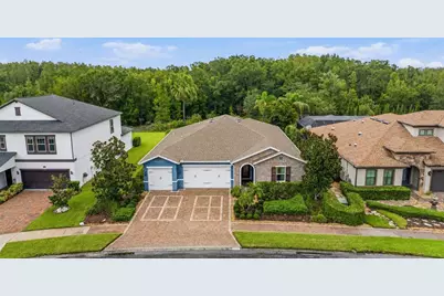 31321 Driscoll Drive, Wesley Chapel, FL 33543 - Photo 1