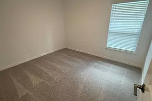 32985 Twin Flower Ave, Wesley Chapel, FL 33545 - Photo 11