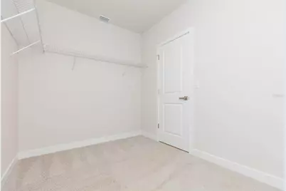 2371 Scenic Park Loop, Wimauma, FL 33598 - Photo 45