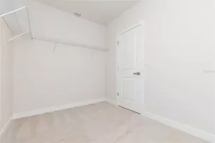 2371 Scenic Park Loop, Wimauma, FL 33598 - Photo 45