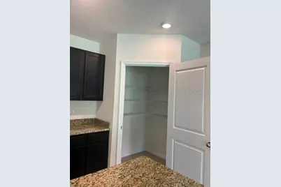 32696 Pez Landing Lane, Wesley Chapel, FL 33543 - Photo 25