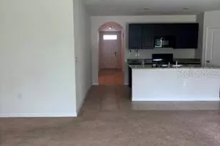 32696 Pez Landing Ln, Wesley Chapel, FL 33543 - Photo 29
