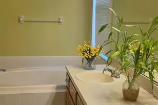 3233 Downan Point Dr, Land O Lakes, FL 34638 - Photo 31
