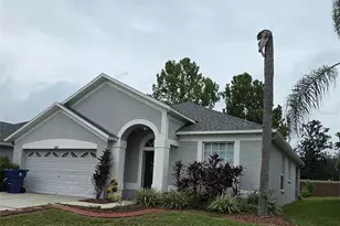 3233 Downan Point Dr, Land O Lakes, FL 34638 - Photo 35