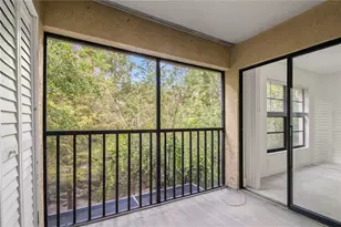7828 Niagara Ave, Tampa, FL 33617 - Photo 23